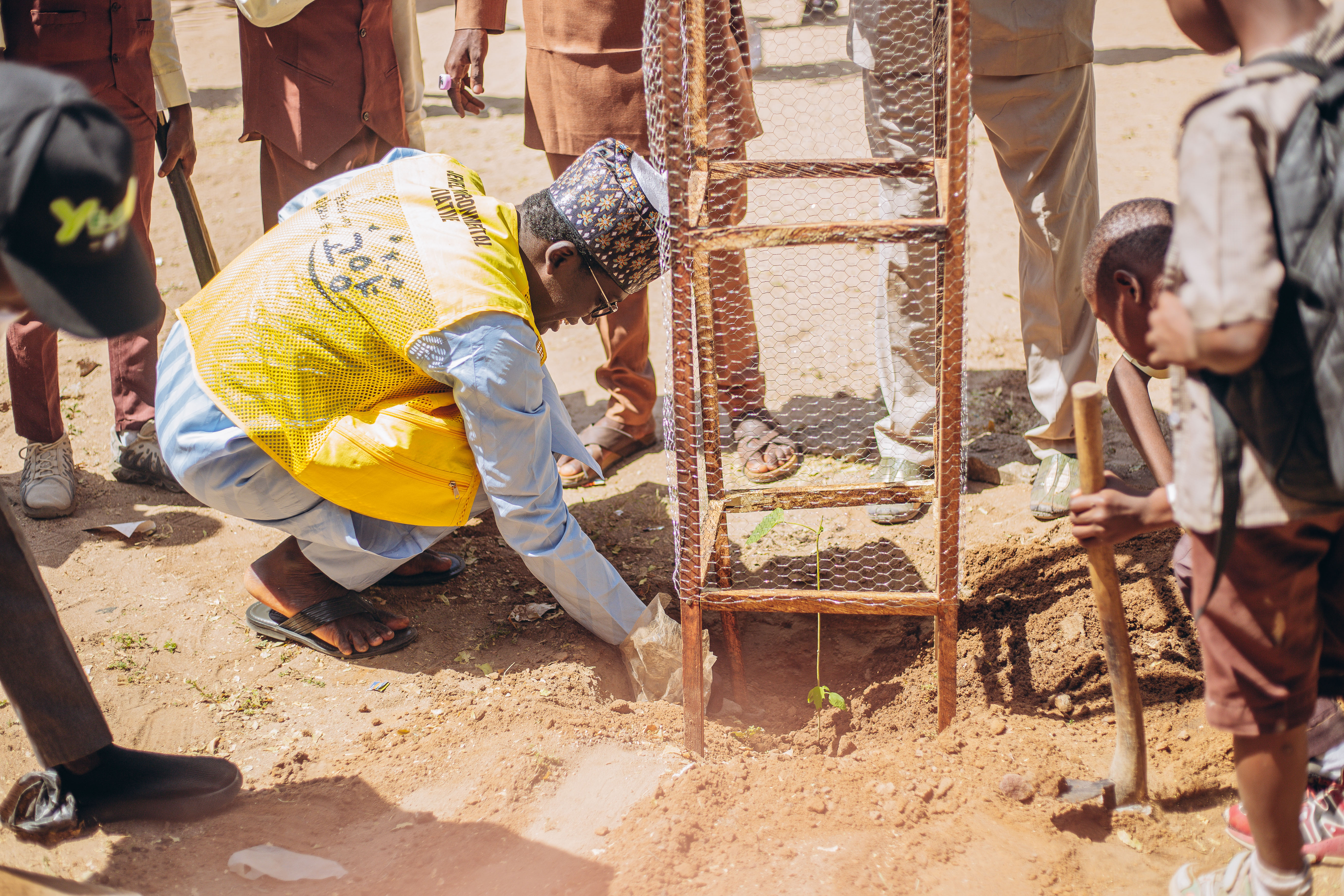Tree planting and education